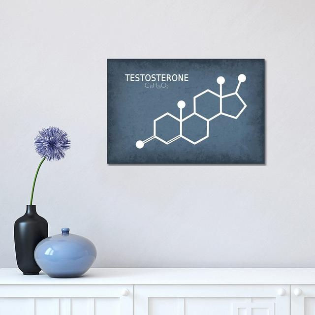 Testosterone Molecule by GetYourNerdOn - Wrapped Canvas Gallery-Wrapped Canvas Giclée Borough Wharf Size: 30.48cm H x 45.72cm W x 1.9cm D on Productcaster.