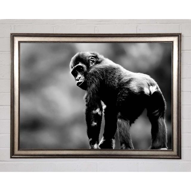 Cheeky Monkey - Print Brayden Studio Size: 42cm H x 59.7cm W x 1.5cm D, Format: Matte Black Framed Paper on Productcaster.