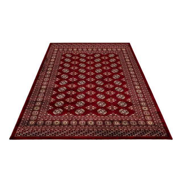 Ariana Oriental Machine Woven Area Rug Obsession Rug Size: Rectangle 240 x 340cm on Productcaster.