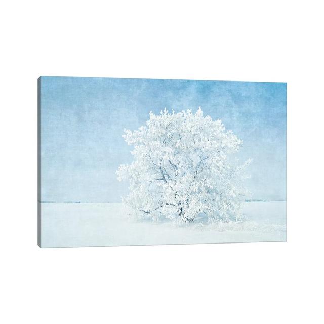 Canada, Manitoba. Snow-Covered Tree by Jaynes Gallery - Wrapped Canvas Graphic Art Latitude Run Size: 30.48cm H x 45.72cm W x 1.905cm D on Productcaster.