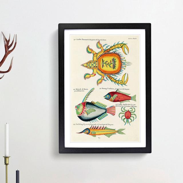 East Indies Fish & Crab Illustrations XLVI by Louis Renard - Picture Frame Painting Print East Urban Home Frame Option: Black Framed, Size: 48cm H x 3 on Productcaster.