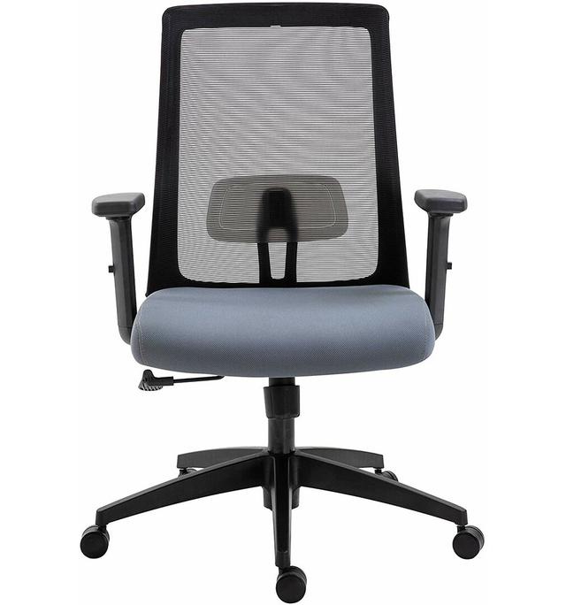 Kiska Ergonomic Mesh Desk Chair Symple Stuff Customization: Low Back, Colour (Upholstery): Grey on Productcaster.