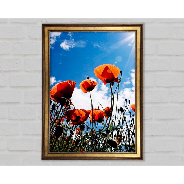 Orange Poppy Skys - Single Picture Frame Art Prints Ebern Designs Size: 59.7cm H x 42cm W x 1.5cm D on Productcaster.