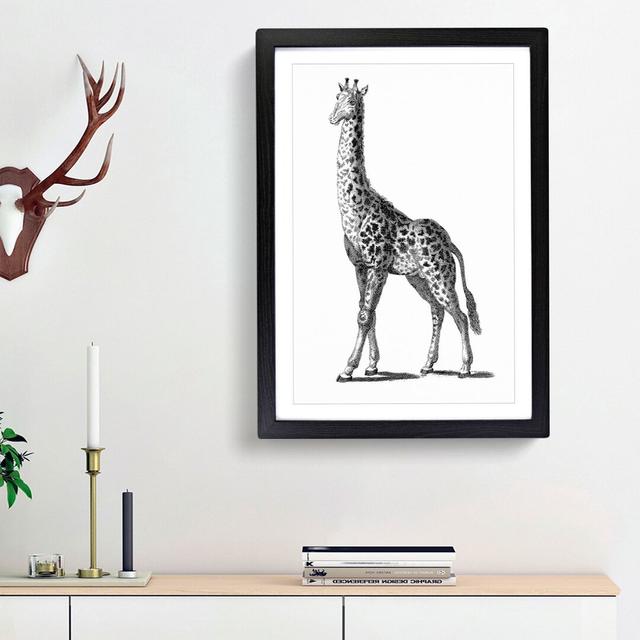 Giraffe in Black & White by George Shaw - Picture Frame Drawing Print East Urban Home Frame Option: Black Framed, Size: 36cm H x 27cm W x 2cm D on Productcaster.