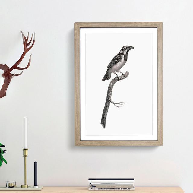 Black-Throated Sparrow Bird by Jacques Barraband - Picture Frame Painting Print East Urban Home Size: 65cm H x 48cm W x 2cm D, Frame Option: Oak Frame on Productcaster.