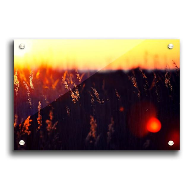 Hot Sunset - Unframed Photograph Print on Paper East Urban Home Size: 21cm H x 29.7cm W on Productcaster.