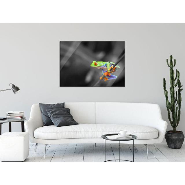 Little Frog on a Branch - Unframed Photograph on Glass Brayden Studio Size: 60cm H x 80cm W x 0.4cm D on Productcaster.