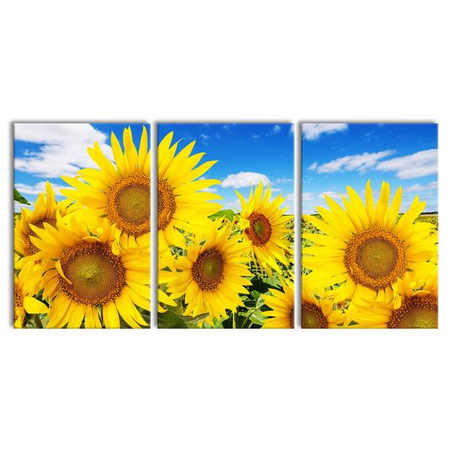 Sonnenblumenwiese Unter Himmel - 3 Piece Wrapped Canvas Print East Urban Home Size: 120cm H x 240cm W on Productcaster.