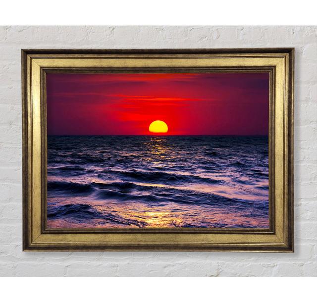 Single Picture Frame Art Prints Bright Star Size: 42cm H x 59.7cm W x 8cm D on Productcaster.