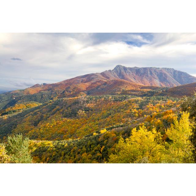 Montseny Natural Park by Pepj - Wrapped Canvas Photograph Alpen Home Size: 20cm H x 30cm W on Productcaster.