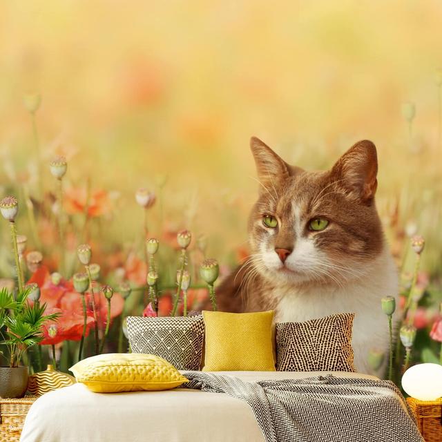 Cat in a Poppy Field 2.88m x 2.88m Textured Matte Peel & Stick Wall Mural East Urban Home on Productcaster.