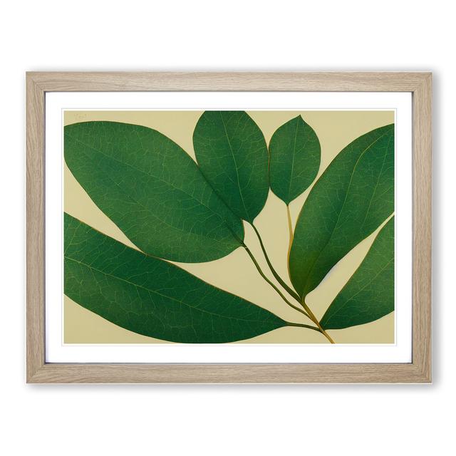 Picturesque Leaf - Picture Frame Graphic Art Marlow Home Co. Format: Oak Framed, Size: 25cm H x 34cm W x 2cm D on Productcaster.