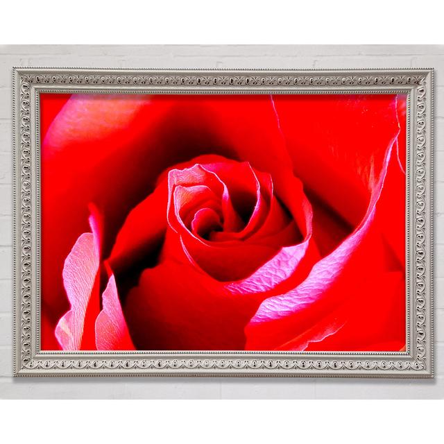 Pink Rose Bud Framed Print Bright Star Size: 21cm H x 29.7cm W x 3cm D on Productcaster.