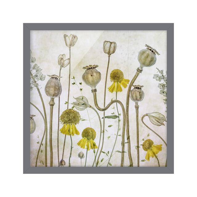 Poppy and Helenium - Picture Frame Graphic Art Rosalind Wheeler Frame Option: Grey Framed, Size: 50cm H x 50cm W x 2cm D on Productcaster.