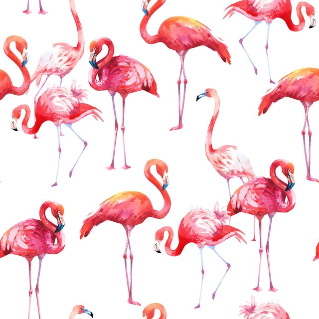 Flamingo illustration_1007274312 Sansibar Home Größe: 80 cm H x 80 cm B x 1,8 cm T on Productcaster.