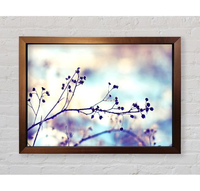 Spikey Twigs with Berries - Single Picture Frame Art Prints Bright Star Size: 84.1cm H x 118.9cm W x 3.4cm D on Productcaster.