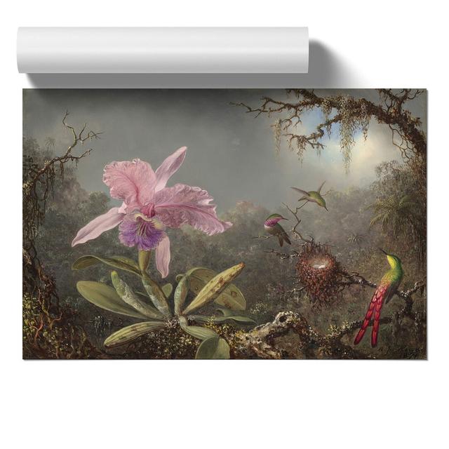 Cattleya Orchid and Hummingbirds by Martin Johnson Heade - Unframed Graphic Art East Urban Home Size: 21cm H x 30cm W x 0.1cm D on Productcaster.