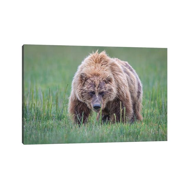 Coming Right At You by Jeffrey C. Sink - Wrapped Canvas Print Alpen Home Size: 20.32cm H x 30.48cm W x 1.91cm D on Productcaster.