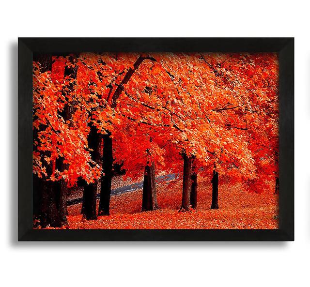 Beautiful Autumn Orange Leaves - Picture Frame Photograph on Canvas Union Rustic on Productcaster.