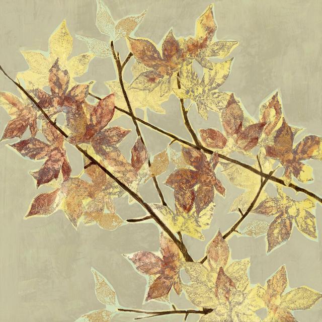 Renewed Maple II by Jennifer Goldberger - Wrapped Canvas Painting Print Rosalind Wheeler Size: 30cm H x 30cm W on Productcaster.