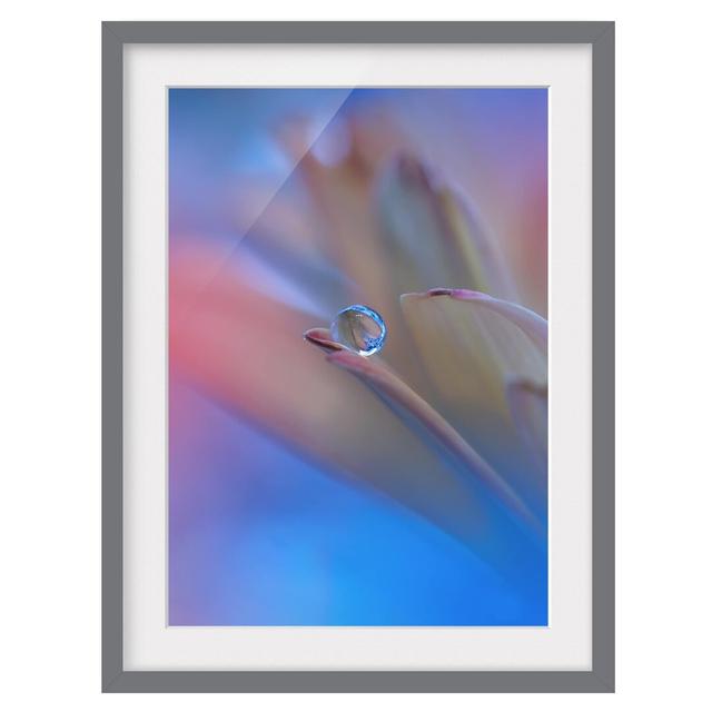 Touch Me Gently Framed Photograph East Urban Home Frame Options: Matt grey, Size: 100 cm H x 70 cm W on Productcaster.