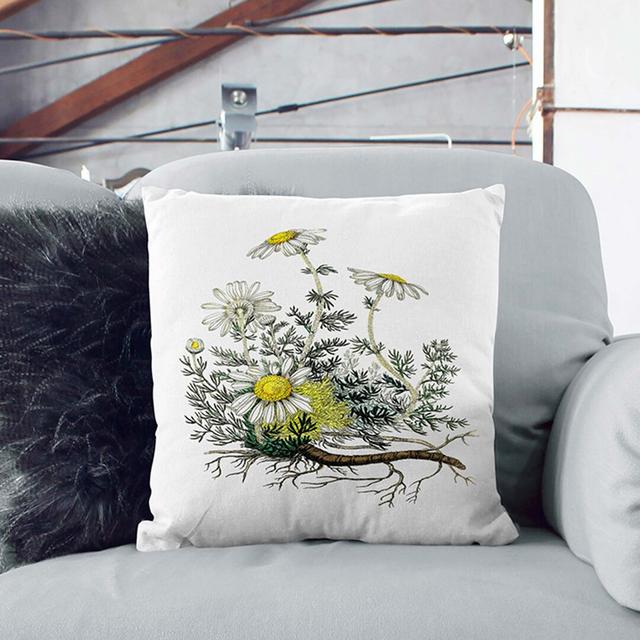 Chamomile Flowers Illustration Cushion with Filling East Urban Home Backing Colour: Black, Size: 55cm H x 55cm W x 20cm D on Productcaster.