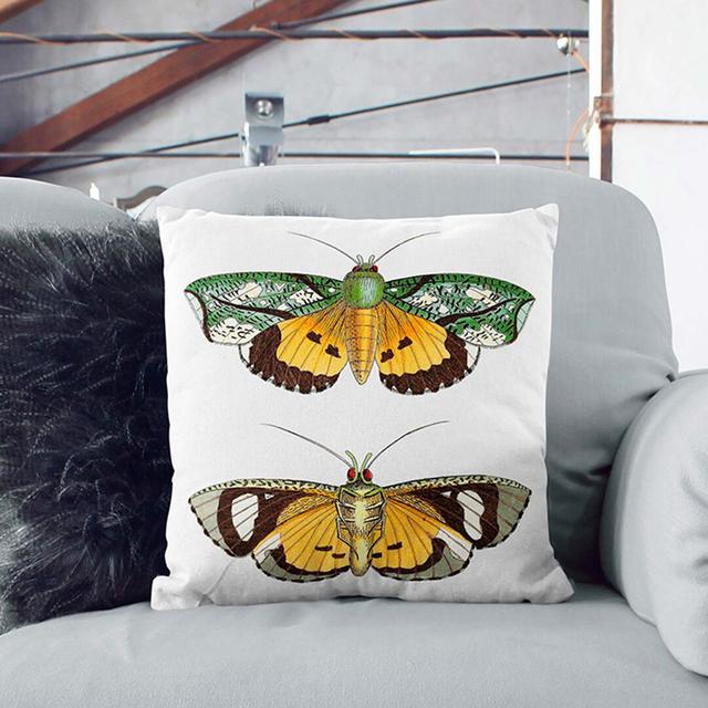 Hypermnestra Moth by George Shaw Cushion with Filling East Urban Home Size: 55cm H x 55cm W x 20cm D on Productcaster.