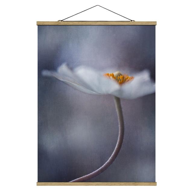 Fotodruck White Anemone Flower Ebern Designs Maße: 46,5 cm H x 35 cm B x 0,3 cm T on Productcaster.