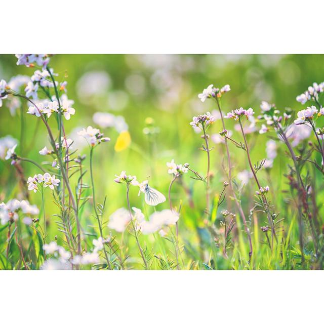 Spring Meadow by Rike_ - No Frame Print on Canvas 17 Stories Size: 61cm H x 91cm W on Productcaster.