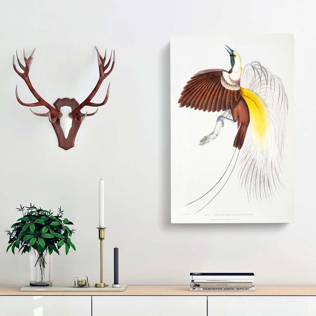 Bird of Paradise Illustration by John Edward Gray - Wrapped Canvas Painting Print East Urban Home Size: 76cm H x 50cm W x 3cm D on Productcaster.