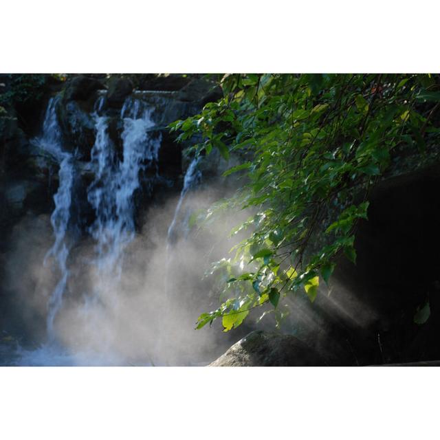 Hanging Green Leaves By Waterfall - Wrapped Canvas Art Prints Alpen Home Size: 20cm H x 30cm W x 3.8cm D on Productcaster.