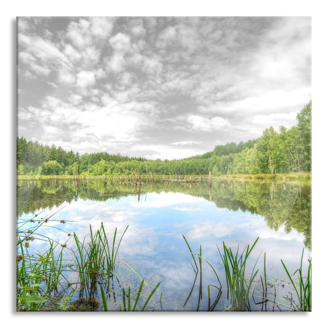 Beautiful lake in a green forest - Photograph Print on Glass Alpen Home Size: 80cm H x 80cm W x 0.4cm D on Productcaster.