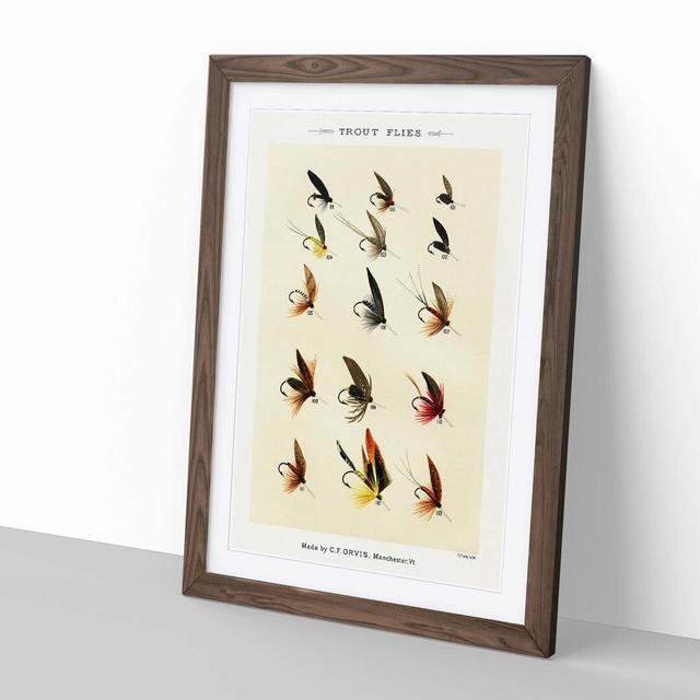 Trout Fishing Flies Version 4 by Mary Orvis Marbury - Picture Frame Painting Print on MDF East Urban Home Frame Option: Walnut, Size: 91cm H x 60cm W on Productcaster.