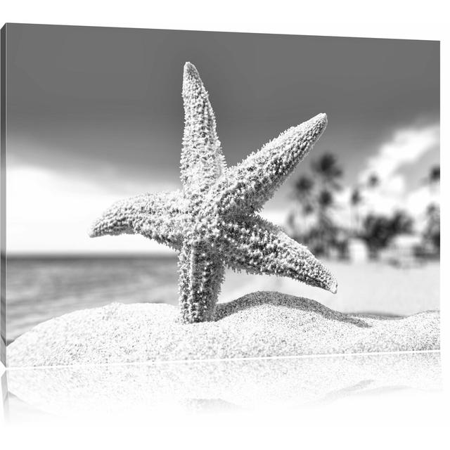 Leinwandbild „Seestern im Sandstrand von Palm Beach“, Fotodruck East Urban Home Größe: 40 cm H x 60 cm B on Productcaster.