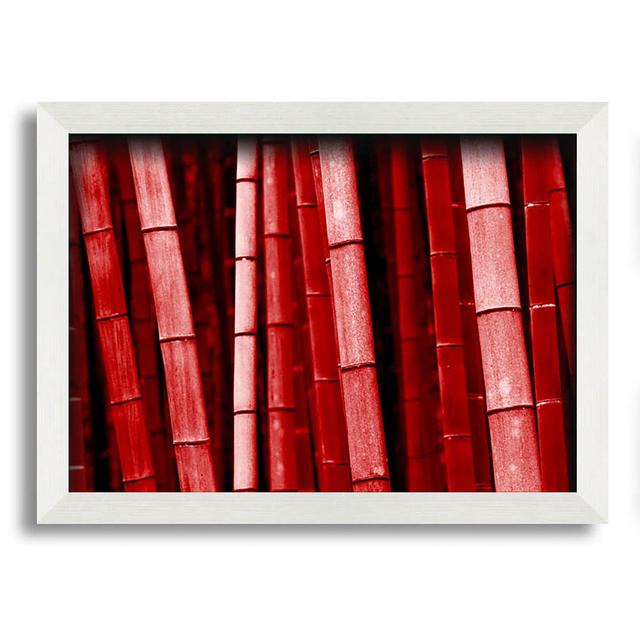 Red Bamboo - Single Picture Frame Art Prints Bay Isle Home Size: 59.7cm H x 84.1cm W on Productcaster.