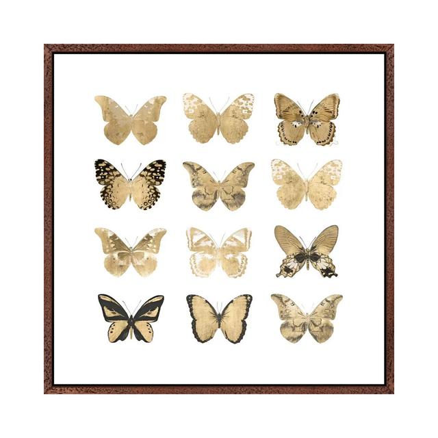 Butterfly Study In Gold II by Julia Bosco - Gallery-Wrapped Canvas Giclée on Canvas August Grove Format: Classic Wood Floater Framed, Size: 45.72cm H on Productcaster.