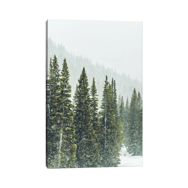 Winter Forest Panorama I by Karen Mandau - Wrapped Canvas Print Alpen Home Size: 45.72cm H x 30.48cm W x 1.91cm D on Productcaster.