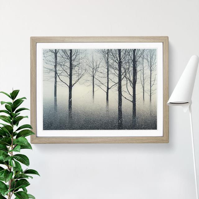 Progressive Winter Forest - Picture Frame Graphic Art Alpen Home Size: 34cm H x 46cm W x 2cm D, Frame Colour: Oak Framed on Productcaster.