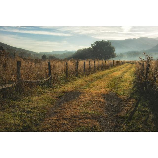 Grassy Lane - Wrapped Canvas Photograph Print Blue Elephant Size: 81cm H x 122cm W on Productcaster.