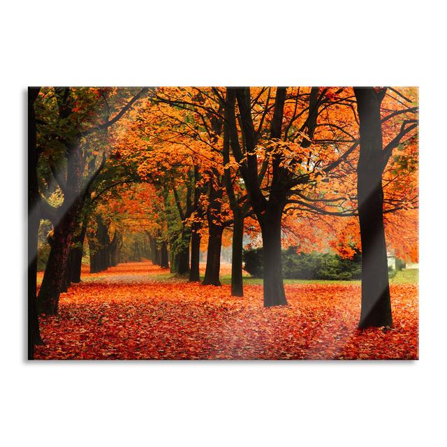 Glasbild Baumallee im Herbst Union Rustic Größe: 60 cm H x 80 cm B x 0,4 cm T on Productcaster.