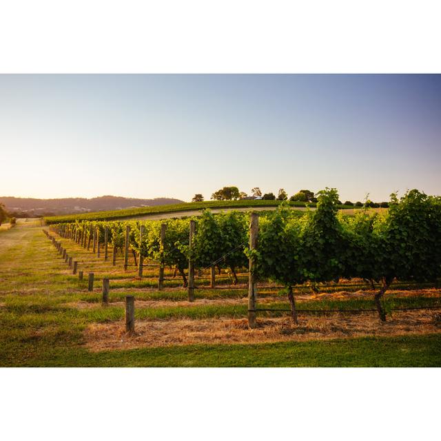 Yarra Valley Vineyard 17 Stories Size: 81cm H x 122cm W 3.8cm D on Productcaster.