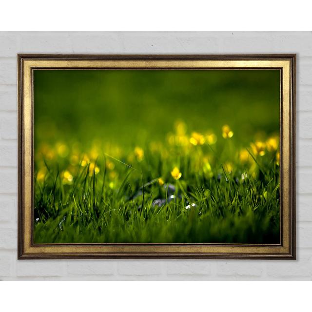 Summer Grass - Single Picture Frame Art Prints Latitude Run Size: 84.1cm H x 118.9cm W x 1.5cm D on Productcaster.