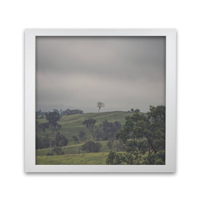 Tree on Top 2 by Nur Mut - Picture Frame Photograph on Paper Alpen Home Size: 50 cm H x 50 cm W, Frame Options: White on Productcaster.