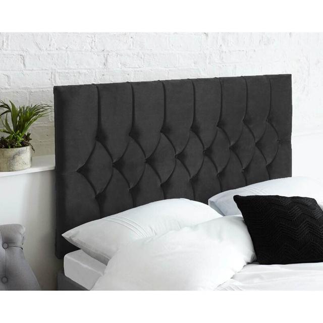 Linda Upholstered Headboard Etta Avenue Colour: Black, Size: Kingsize (5') on Productcaster.