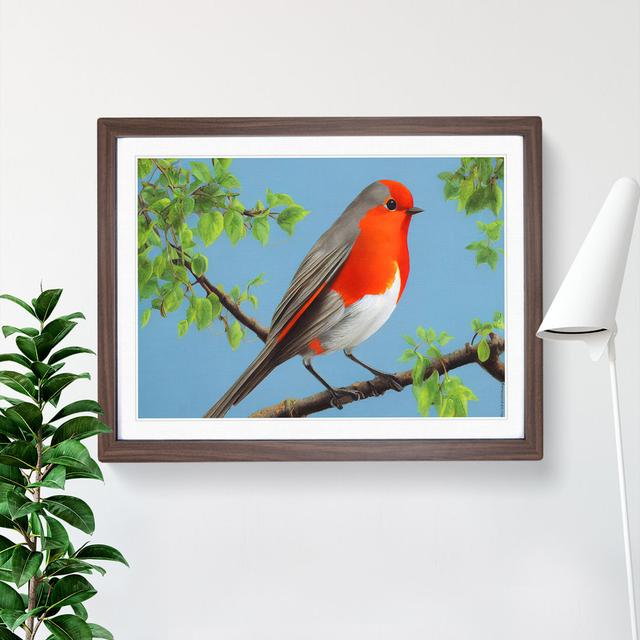 XH1022-8651X Superb Robin Bird - Single Picture Frame Painting Marlow Home Co. Size: 25cm H x 34cm W x 2cm D, Frame Colour: Walnut on Productcaster.