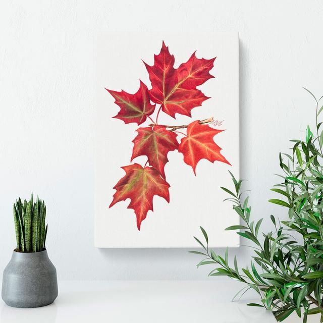 Autumn Leaves Vol.2 by Mary Vaux Walcott - Wrapped Canvas Painting East Urban Home Size: 60cm H x 40cm W x 3cm D on Productcaster.