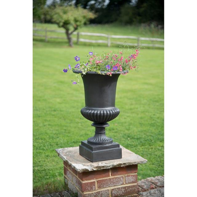 Satya Fibreglass Urn Planter Rosalind Wheeler on Productcaster.