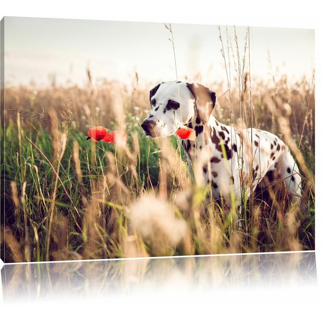 Leinwandbild Neugieriger Hund im Feld East Urban Home Größe: 70 cm H x 100 cm B on Productcaster.