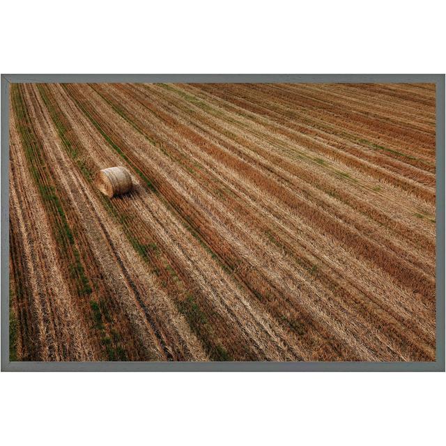 Aerial View Of Hay Bale Fields Picture Frame Latitude Run Size: 31cm H x 46cm W x 4cm D, Frame Option: Grey Framed on Productcaster.