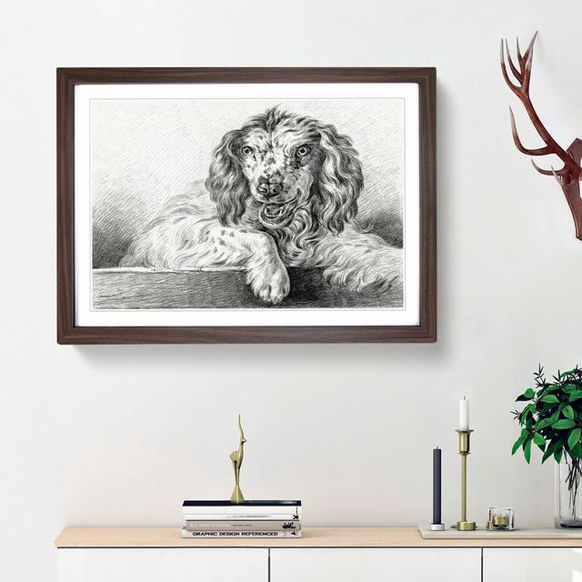 Springer Spaniel Dog by Jean Bernard - Picture Frame Drawing Print East Urban Home Size: 27cm H x 36cm W x 2cm D, Frame Option: Walnut Framed on Productcaster.